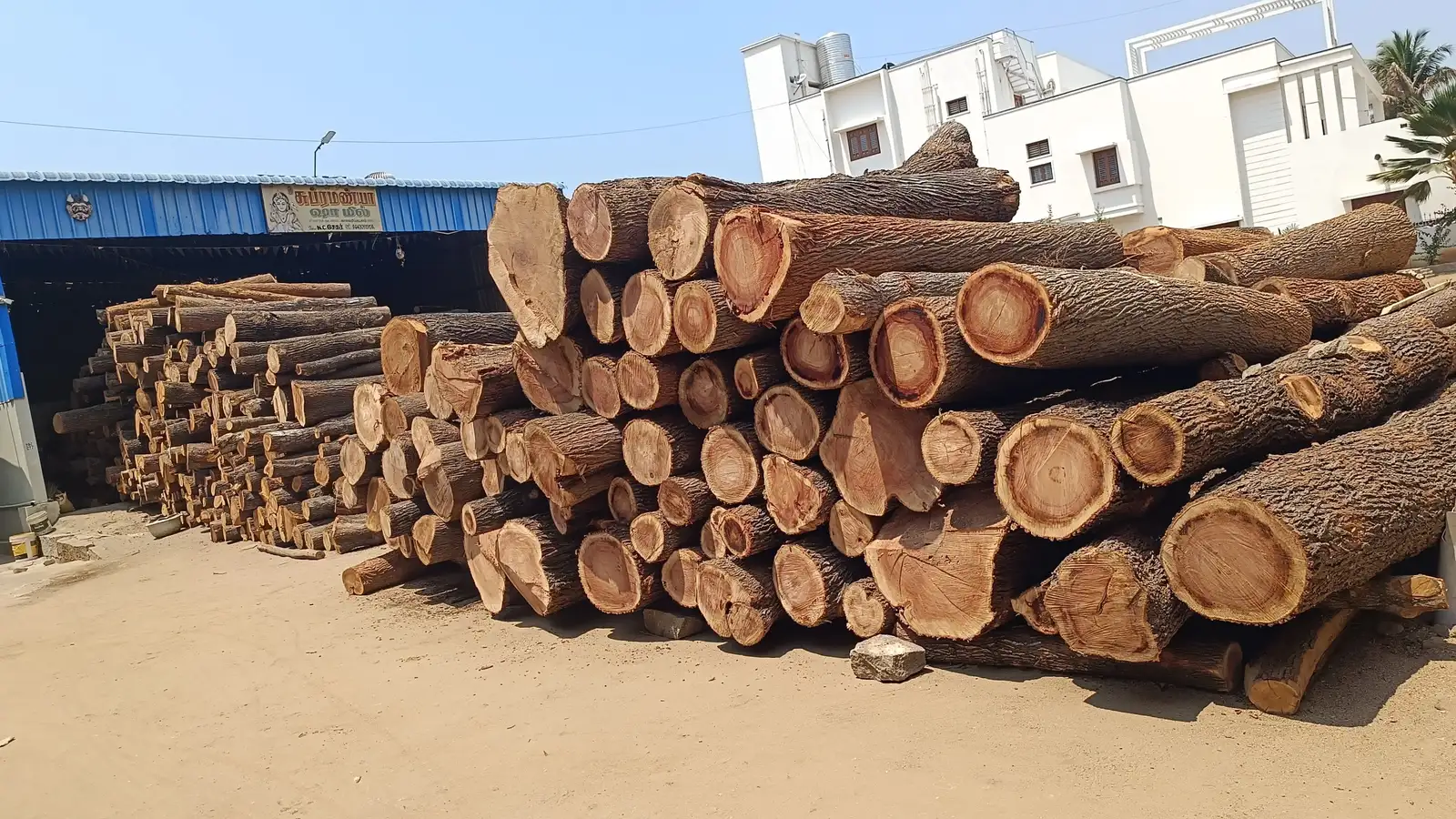 Silver oak (silverwood) logs for centring and shuttering work, stacked in the yard at Subramaniya Sawmill & Timber Mart in Kaveripattinam