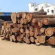 Centering Silver Oak timber